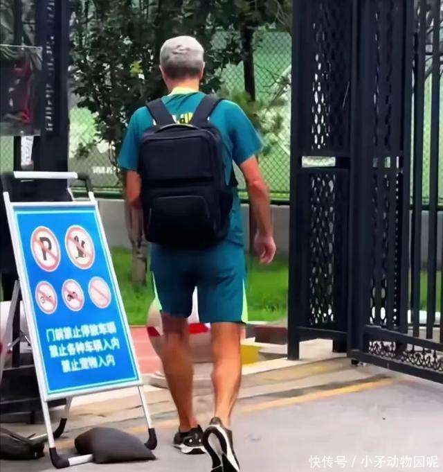 更加流畅, 那般轻松轻