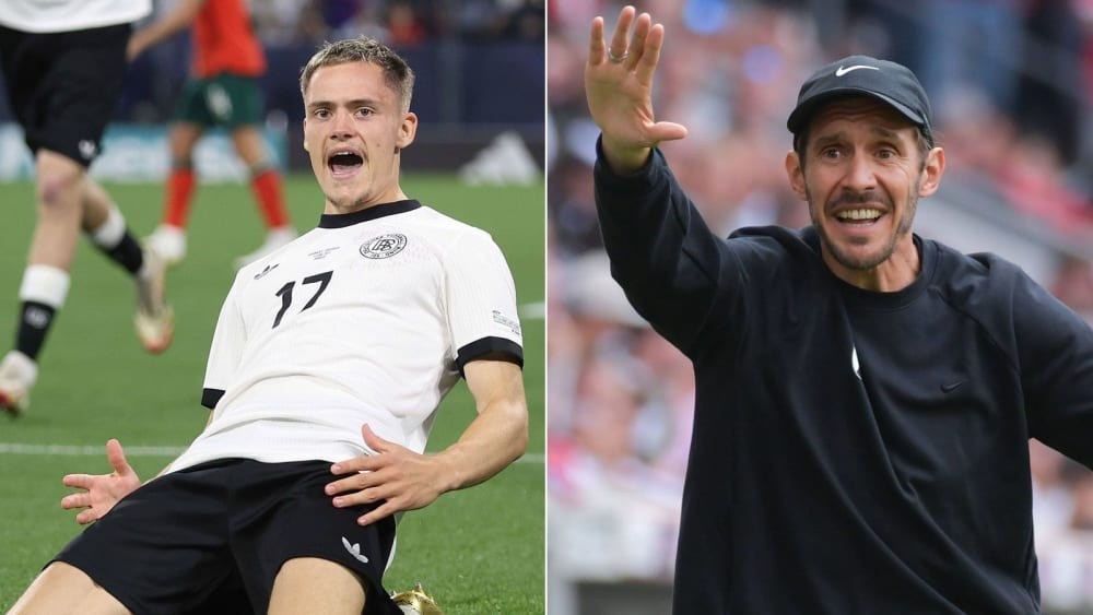 成员参与投, entit