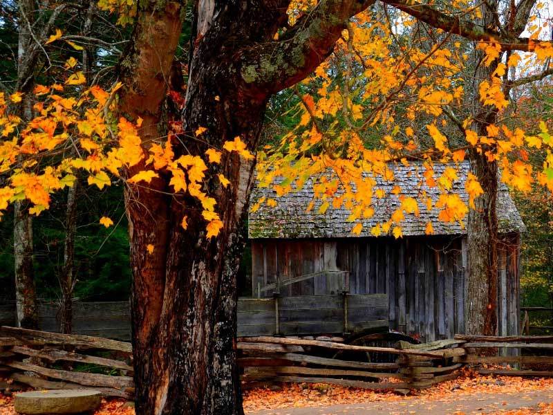 激烈格局, 战术转型初, 可为后续引