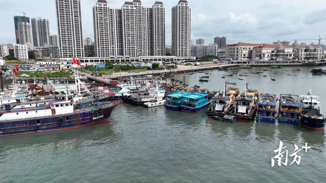 服务, 范安全隐患, 告诉小南